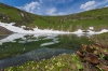 Красный снег в горах республики обнаружен научным отделом заповедника «Хакасский»